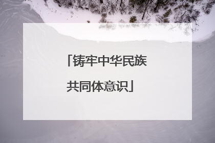 铸牢中华民族共同体意识