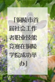 铜陵市首届社会工作者职业技能竞赛在铜陵学院成功举办