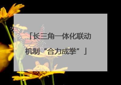 长三角一体化联动机制“合力成拳”