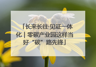 长来长往·见证一体化｜零碳产业园这样当好“碳”路先锋