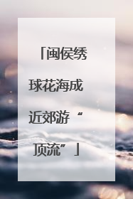 闽侯绣球花海成近郊游“顶流”