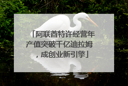 阿联酋特许经营年产值突破千亿迪拉姆，成创业新引擎