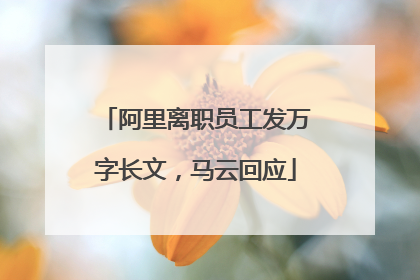 阿里离职员工发万字长文，马云回应