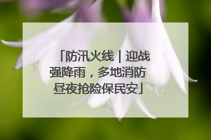 防汛火线｜迎战强降雨，多地消防昼夜抢险保民安