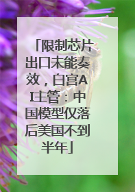 限制芯片出口未能奏效，白宫AI主管：中国模型仅落后美国不到半年