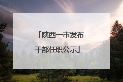 陕西一市发布干部任职公示