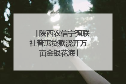 陕西农信宁强联社普惠贷款浇开万亩金银花海