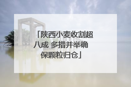 陕西小麦收割超八成 多措并举确保颗粒归仓