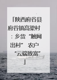 陕西府谷县府谷镇高梁村：乡货“触网出村” 农户“云端致富”