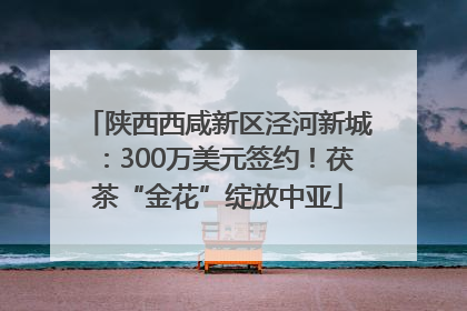 陕西西咸新区泾河新城：300万美元签约！茯茶“金花”绽放中亚