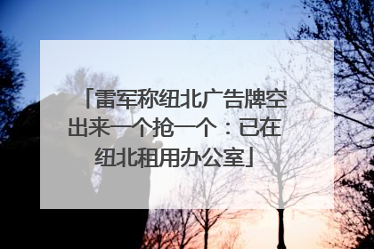 雷军称纽北广告牌空出来一个抢一个：已在纽北租用办公室
