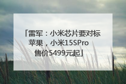 雷军：小米芯片要对标苹果，小米15SPro售价5499元起