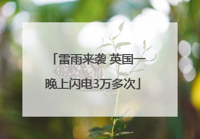 雷雨来袭 英国一晚上闪电3万多次