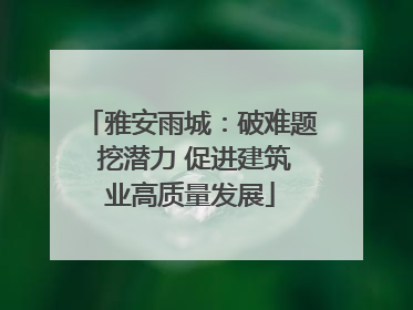 雅安雨城：破难题 挖潜力 促进建筑业高质量发展