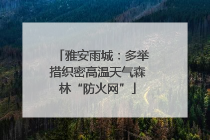 雅安雨城：多举措织密高温天气森林“防火网”