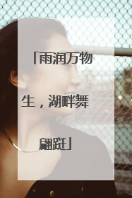 雨润万物生，湖畔舞翩跹