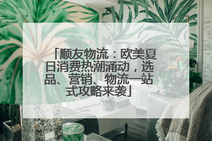 顺友物流：欧美夏日消费热潮涌动，选品、营销、物流一站式攻略来袭