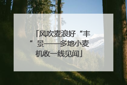风吹麦浪好“丰”景——多地小麦机收一线见闻