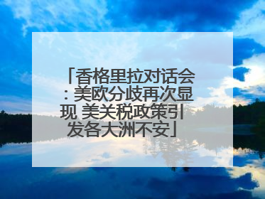 香格里拉对话会：美欧分歧再次显现 美关税政策引发各大洲不安