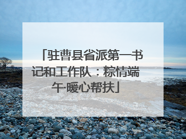 驻曹县省派第一书记和工作队：粽情端午·暖心帮扶