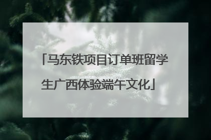 马东铁项目订单班留学生广西体验端午文化