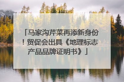 马家沟芹菜再添新身份！贸促会出具《地理标志产品品牌证明书》