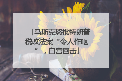 马斯克怒批特朗普税改法案“令人作呕”，白宫回击