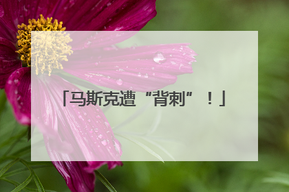 马斯克遭“背刺”！
