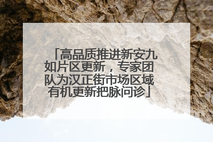 高品质推进新安九如片区更新，专家团队为汉正街市场区域有机更新把脉问诊