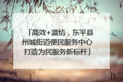 高效+温情，东平县州城街道便民服务中心打造为民服务新标杆
