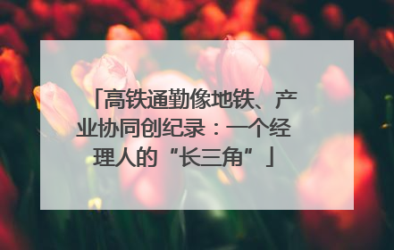 高铁通勤像地铁、产业协同创纪录：一个经理人的“长三角”