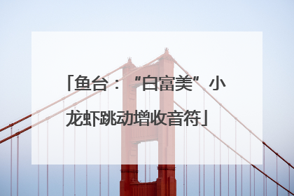 鱼台：“白富美”小龙虾跳动增收音符