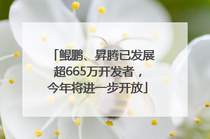 鲲鹏、昇腾已发展超665万开发者，今年将进一步开放