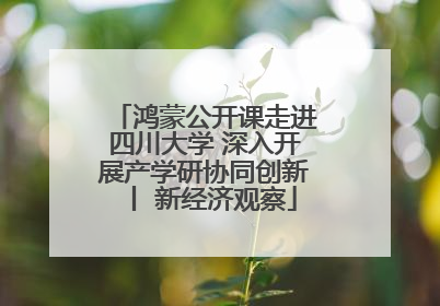 鸿蒙公开课走进四川大学 深入开展产学研协同创新丨 新经济观察