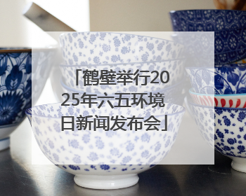 鹤壁举行2025年六五环境日新闻发布会