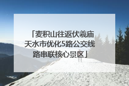 麦积山往返伏羲庙 天水市优化5路公交线路串联核心景区