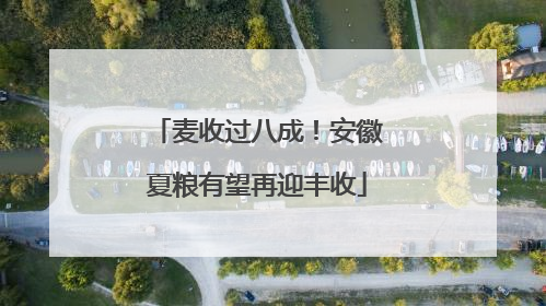 麦收过八成！安徽夏粮有望再迎丰收