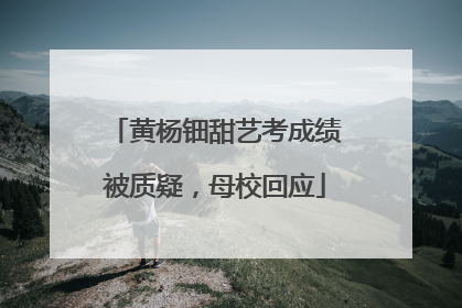 黄杨钿甜艺考成绩被质疑，母校回应