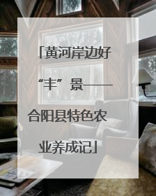 黄河岸边好“丰”景——合阳县特色农业养成记