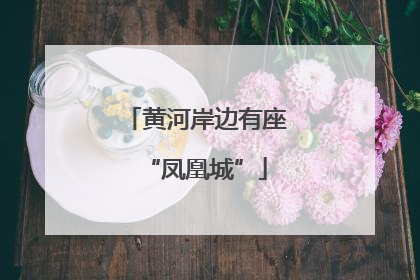 黄河岸边有座“凤凰城”