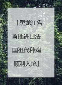 黑龙江省首批进口法国祖代种鸡顺利入境