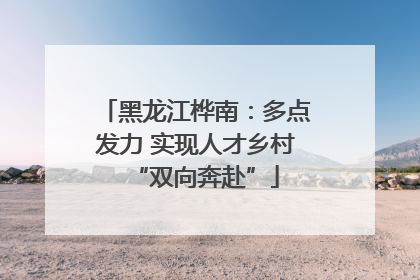 黑龙江桦南：多点发力 实现人才乡村“双向奔赴”