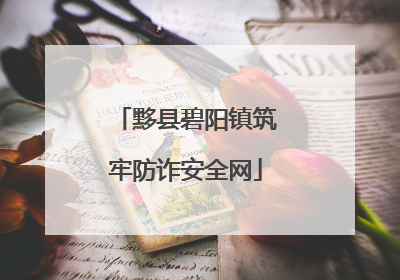 黟县碧阳镇筑牢防诈安全网