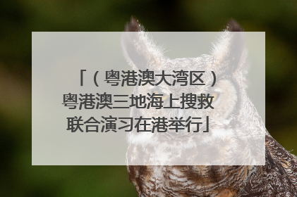 （粤港澳大湾区）粤港澳三地海上搜救联合演习在港举行