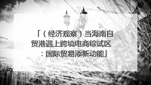 （经济观察）当海南自贸港遇上跨境电商综试区：国际贸易添新动能