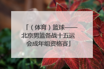 （体育）篮球——北京男篮备战十五运会成年组资格赛