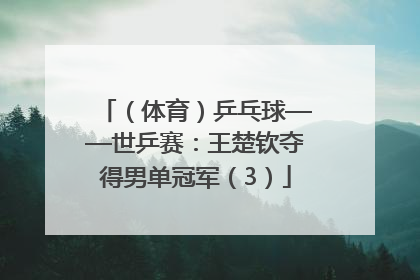 （体育）乒乓球——世乒赛：王楚钦夺得男单冠军（3）