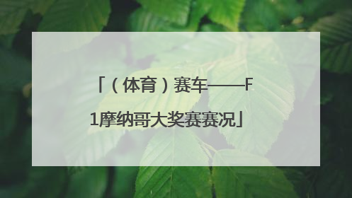 （体育）赛车——F1摩纳哥大奖赛赛况