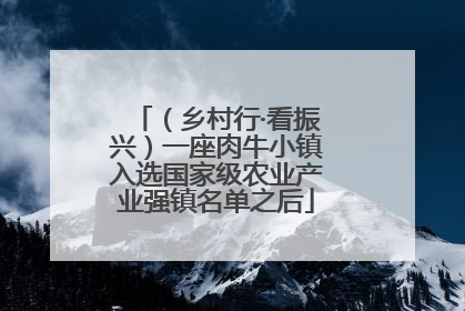 （乡村行·看振兴）一座肉牛小镇入选国家级农业产业强镇名单之后