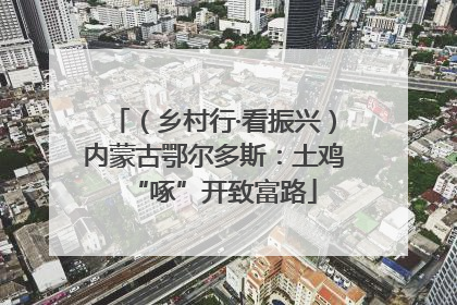 （乡村行·看振兴）内蒙古鄂尔多斯：土鸡“啄”开致富路